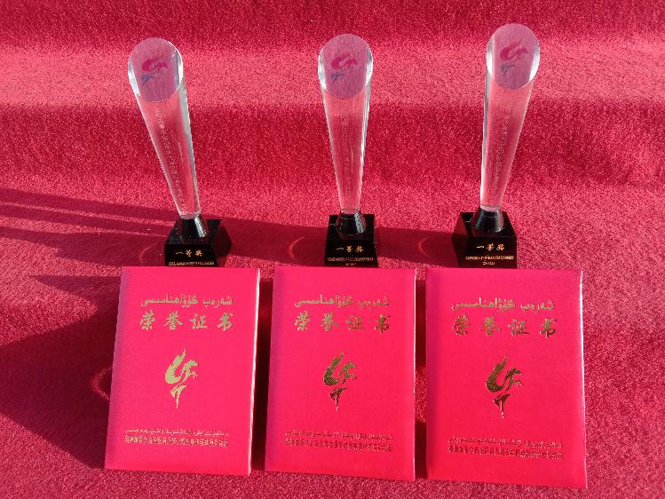 高职学院(附中)学生荣获的奖杯与荣誉证书 高职学院(附中)学生荣获的奖杯与荣誉证书