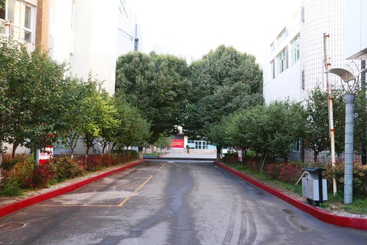 整洁美丽的校园